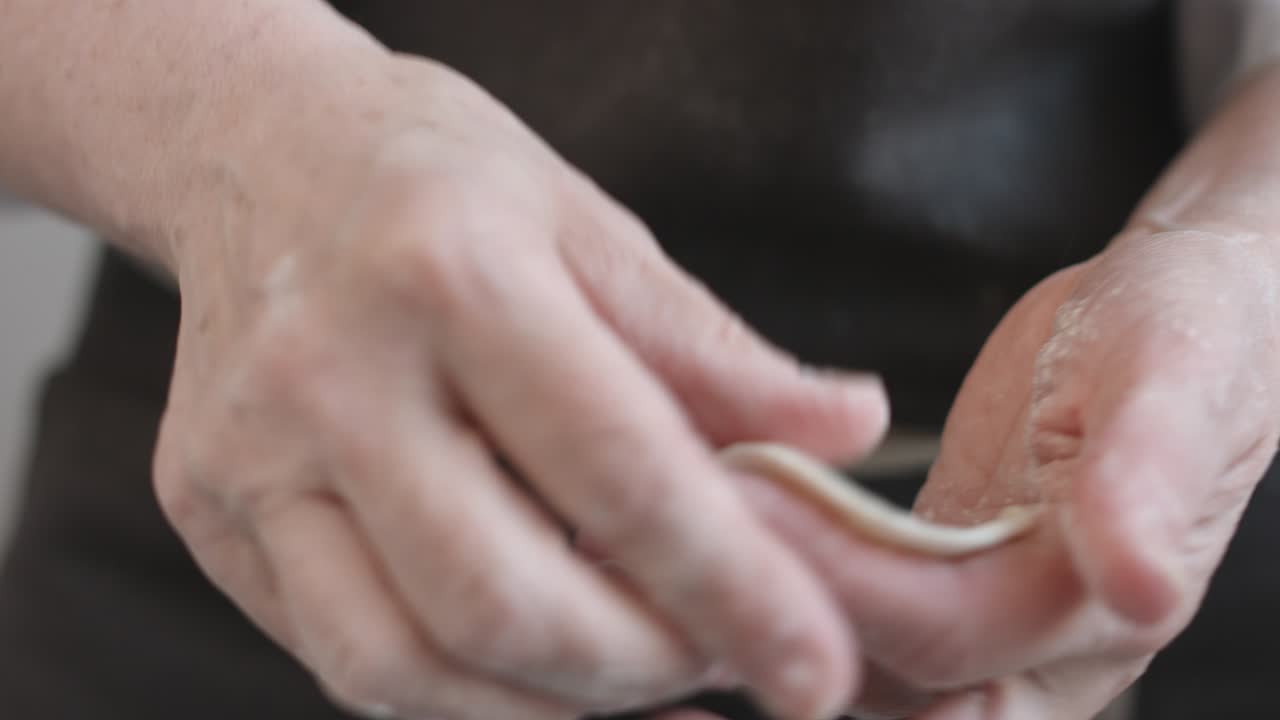 Two hands making meat dumplings.