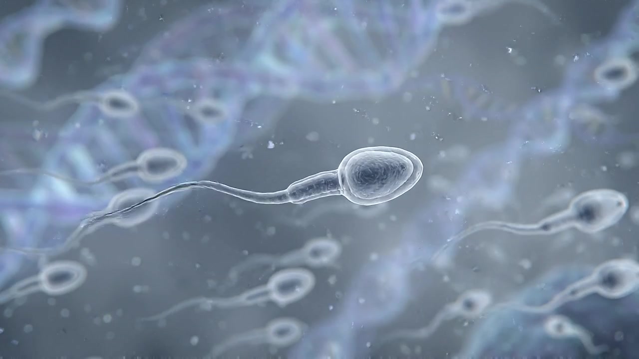 Mikroskopisk bilde av sædceller som svømmer mot DNA-tråder