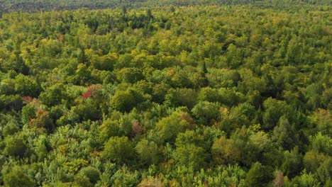 early fall aerial footage of remote forest in northern maine cresting over a ridge