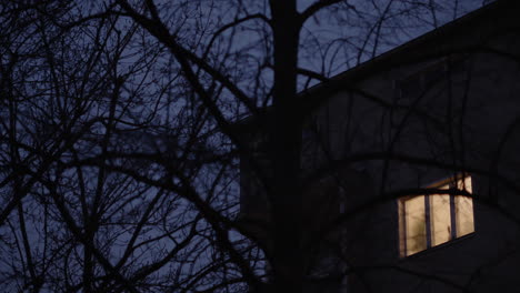 Árbol-Exterior-Sin-Hojas-Frente-A-La-Casa-Temprano-En-La-Mañana-Con-Luz-Azul-Y-Una-Lámpara-Cálida-En-El-Interior