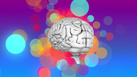 el cerebro humano girando y manchas coloridas de luz flotando contra el fondo de gradiente