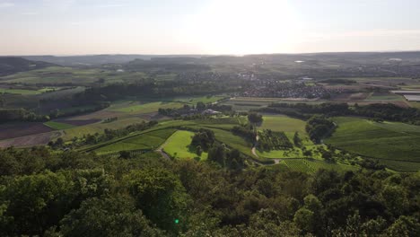 aerial shot of a vineyard hiding behind a forest during summer