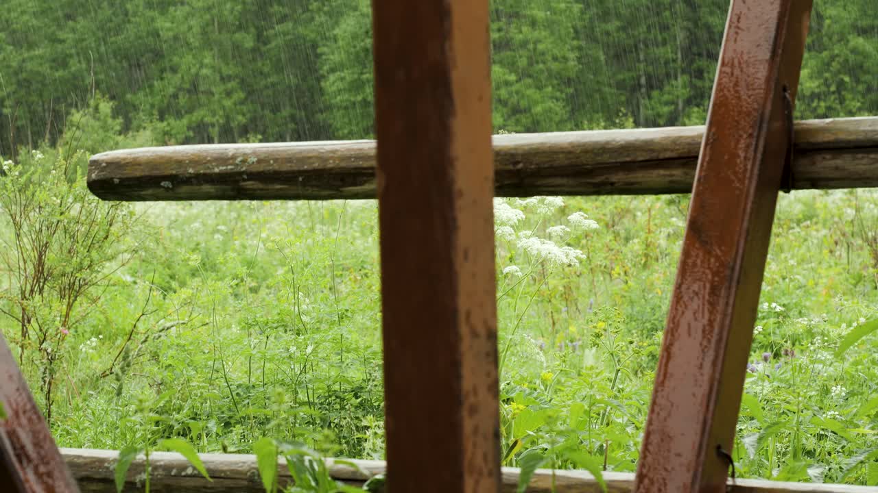 día lluvioso en un campo de campo