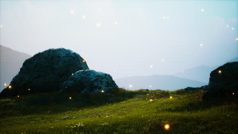 big stones in grass field