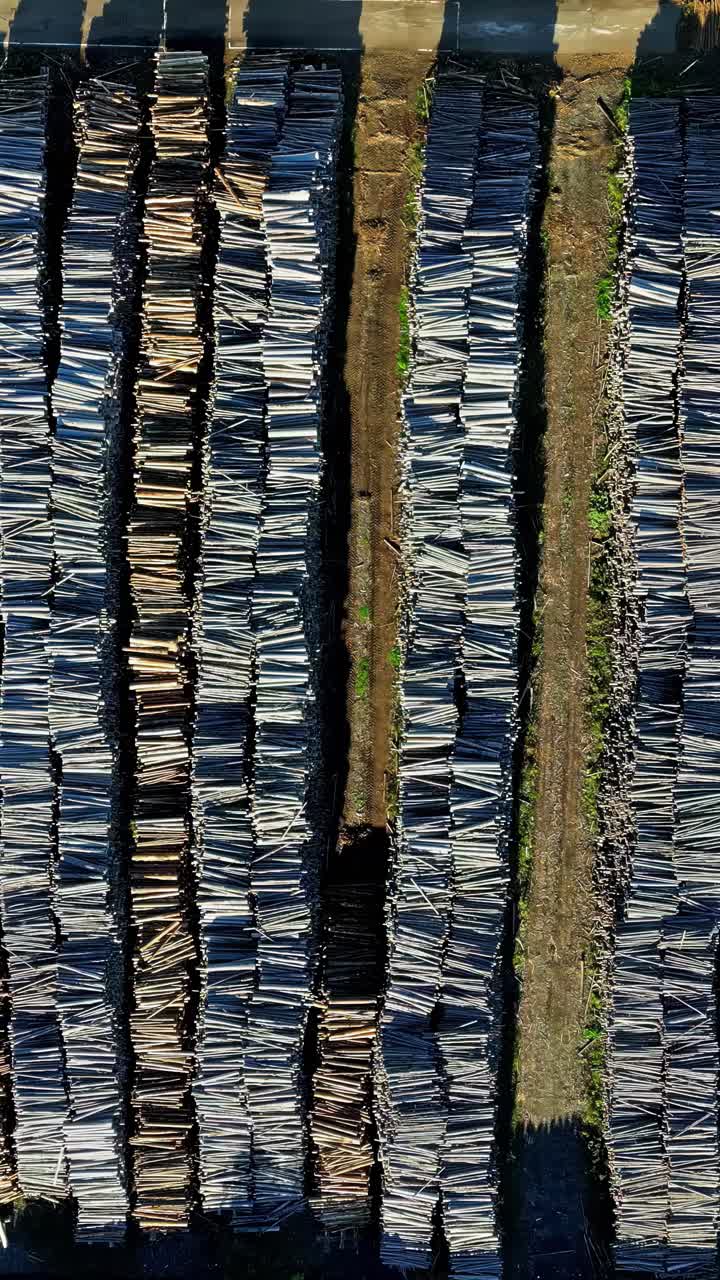 Drone view of piles of cut wooden logs stacked up in a field during daytime.