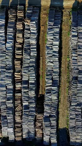 drone view of piles of cut wooden logs stacked up in a field during daytime.