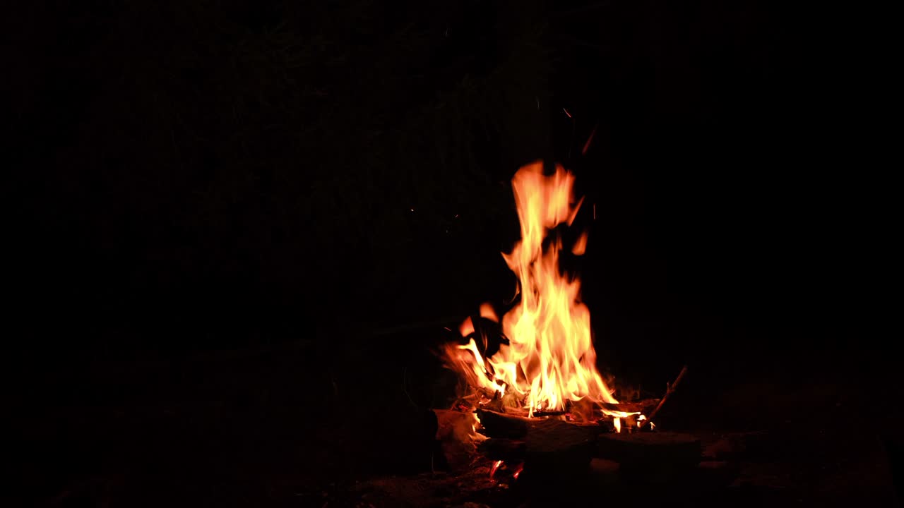 close up de una hermosa fogata en llamas en la noche tranquilo bosque de otoño. tiro estático. vibraciones de campamento y estado de ánimo de estilo de vida al aire libre