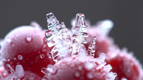 captivating macro shot of frosted red berries with intricate ice crystals sparkling on their surface in a beautiful natural setting