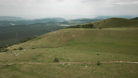 tiro de dron de prados en la montaña slavnik en un día de verano con vistas al mar adriático, cielo nublado