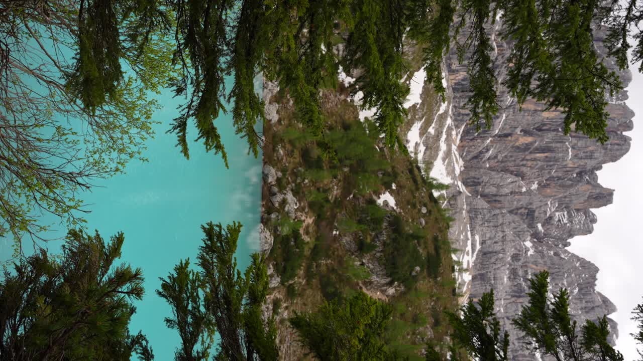 Lago di Sorapis, vibrante lago alpino blu, attraverso una pineta.