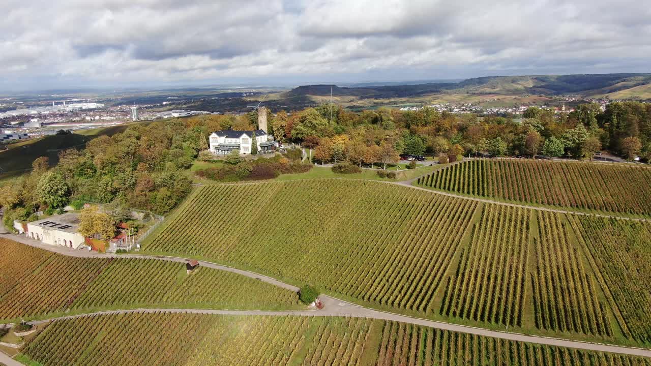 fotografía aérea de un viñedo en el sur de alemania en otoño
