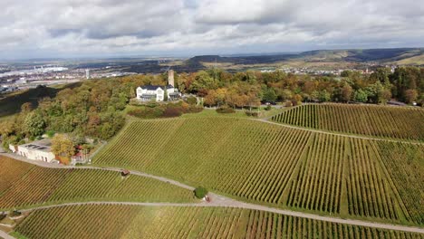 Aerial-shot-of-Vinyard-in-the-South-of-Germany-in-autumn