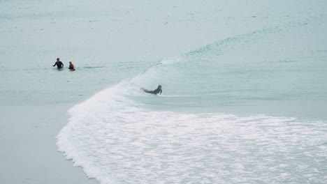 Surfers-waiting-for-perfect-ocean-wave-in-Riverton,-South-Island,-New-Zealand