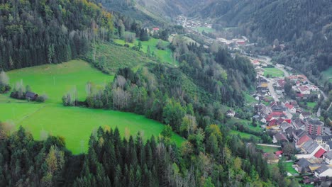 Fly-over-lush-forest