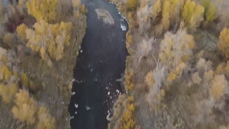 Rauschender-Bach,-Umgeben-Von-Klaren-Goldgelben-Bäumen-In-Einem-Wohngebiet-In-Heber,-Utah-–-Dolly-Neigung-Aus-Der-Luft