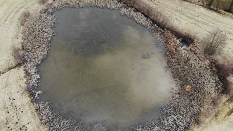 aerial view of a pond in a rural landscape