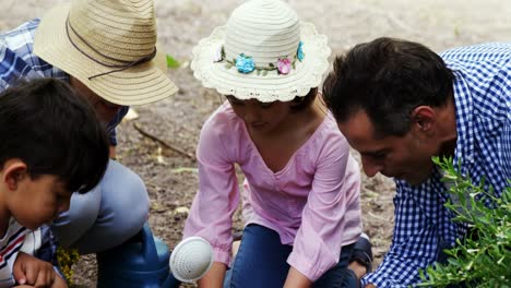 family gardening together