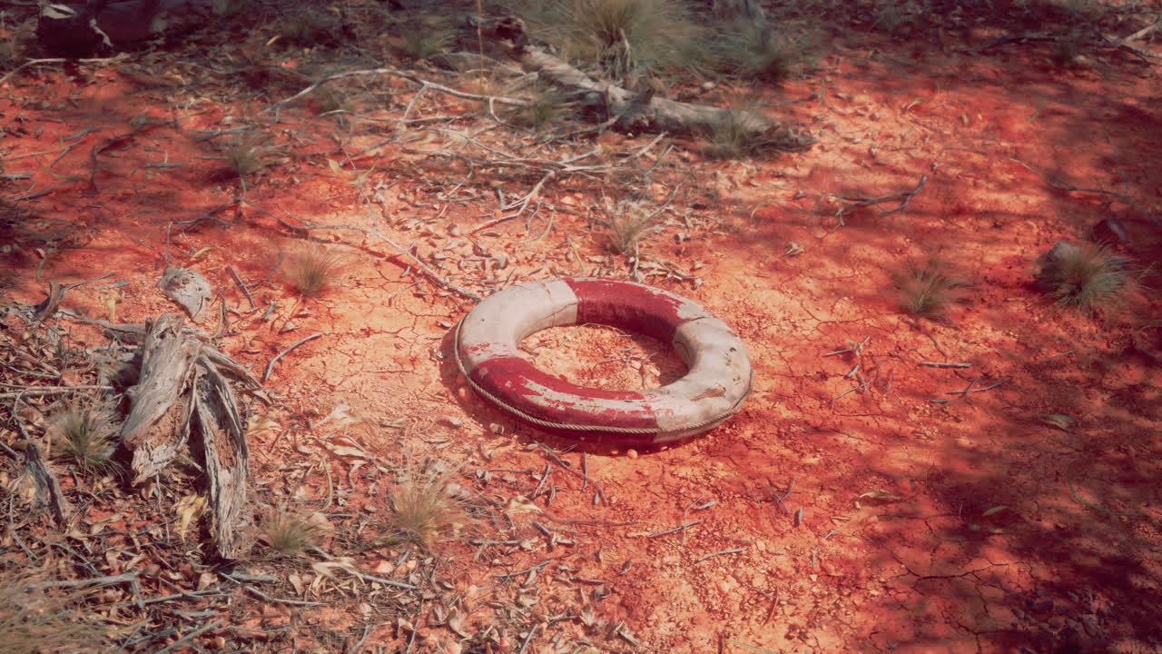 life ring buoy in desert beach