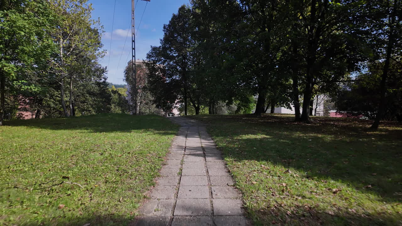 Pathway through green park with trees and sunlight