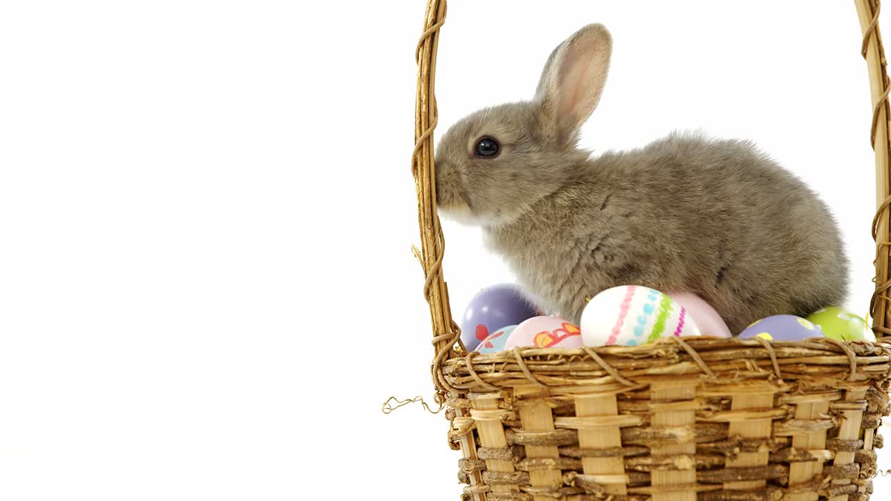 Easter eggs and Easter bunny in wicker basket