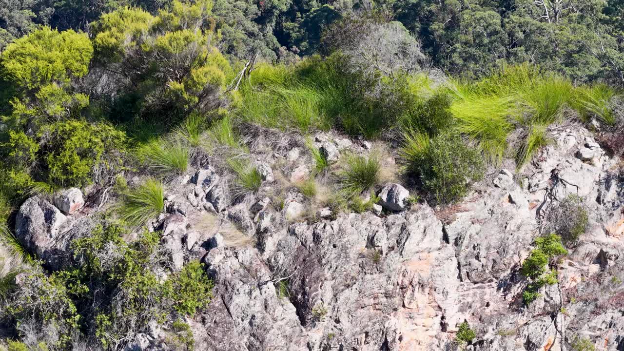 Drone footage captures vibrant greenery atop rocky formations under bright sunlight, showcasing the natural beauty of Nimbin Rocks