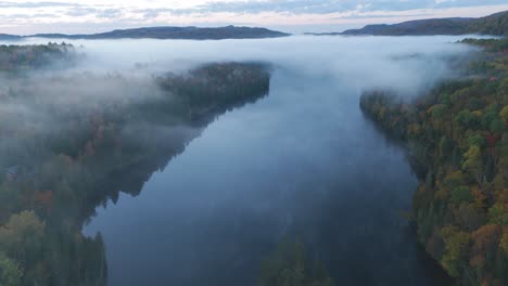drone reveals autumn orange and yellow tree leaf forest in a misty foggy mountains landscape at sunrise