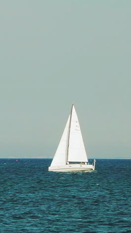 white sailboat is sailing on the sea far from the coast in the summer. slow motion. vertical video