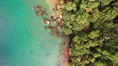 la playa tropical de la gran isla angra dos reis, río de janeiro, brasil