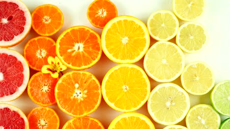 stop motion moving lines of colorful citrus fruit.