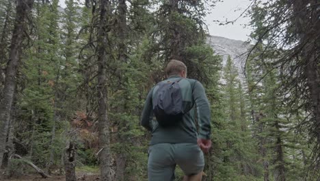 wanderer im wald zu fuß überspringen rockies kananaskis alberta kanada