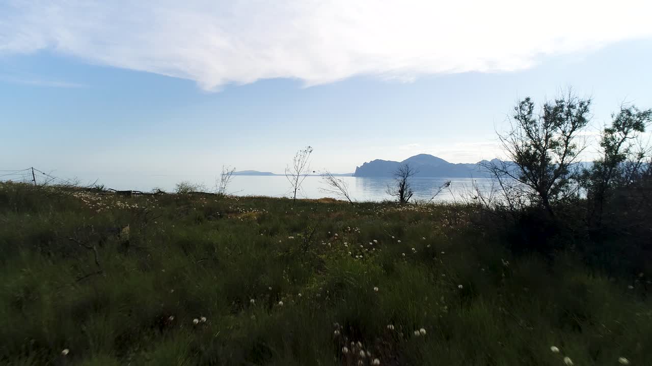 잔디과 산을 볼 수 있는 해안 풍경