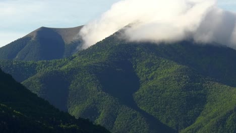 Clouds-over-mountains-covered-in-pine-forest,-Pyrenees,-Spain---zoom