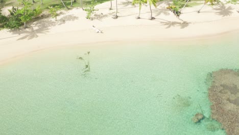 Aerial-view-of-tropical-beach