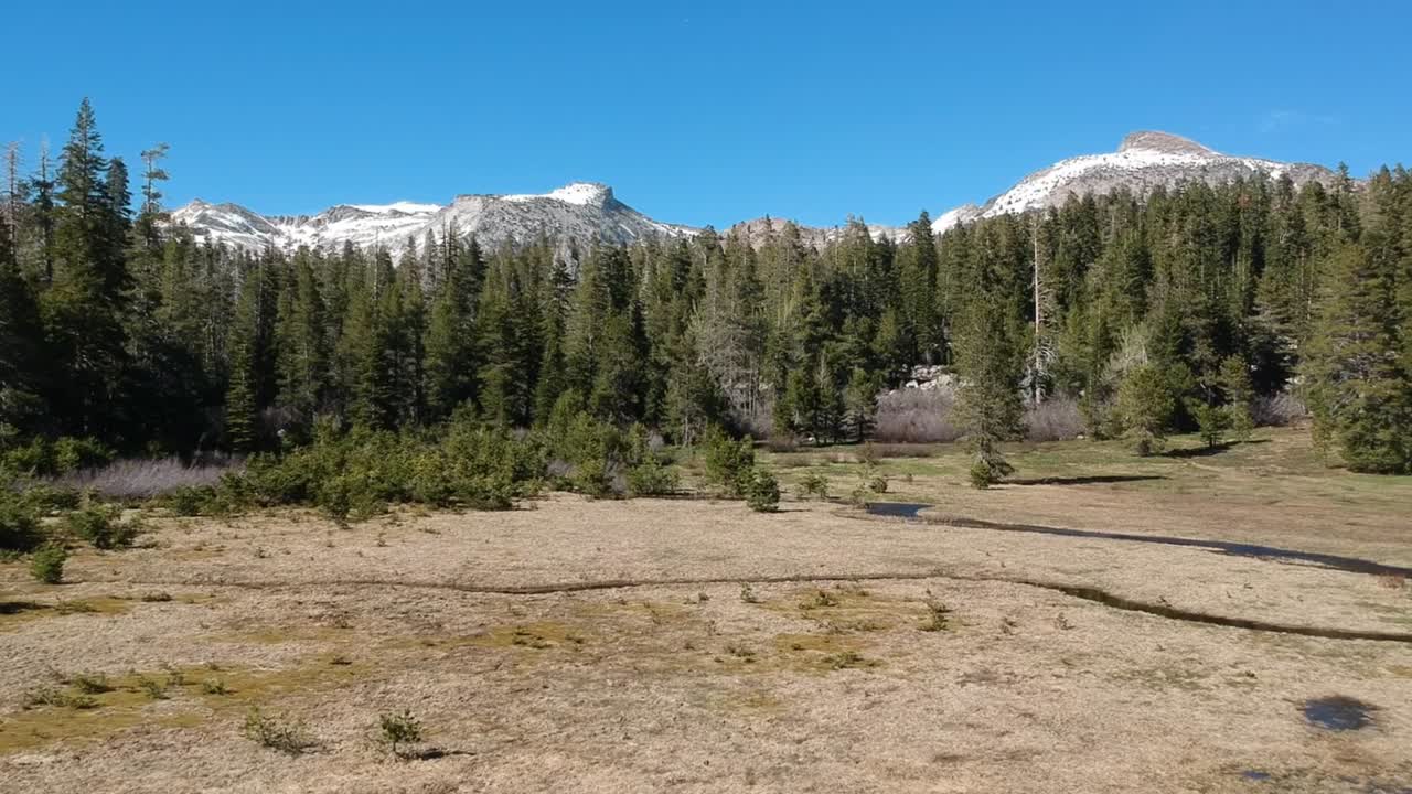 Vista aerea di una foresta nelle montagne della California