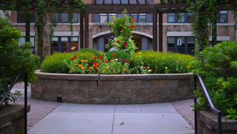courtyard rose garden beautiful entry