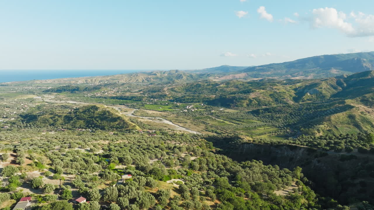 Citrus Groves in Calabria Near the River and the Sea in Summer