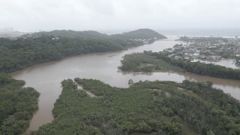 agua turbia del arroyo tallebudgera con un exuberante bosque verde en el parque de conservación en gold coast, qld, australia