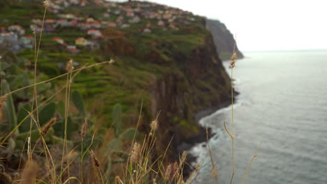 coastal village view from cliffs