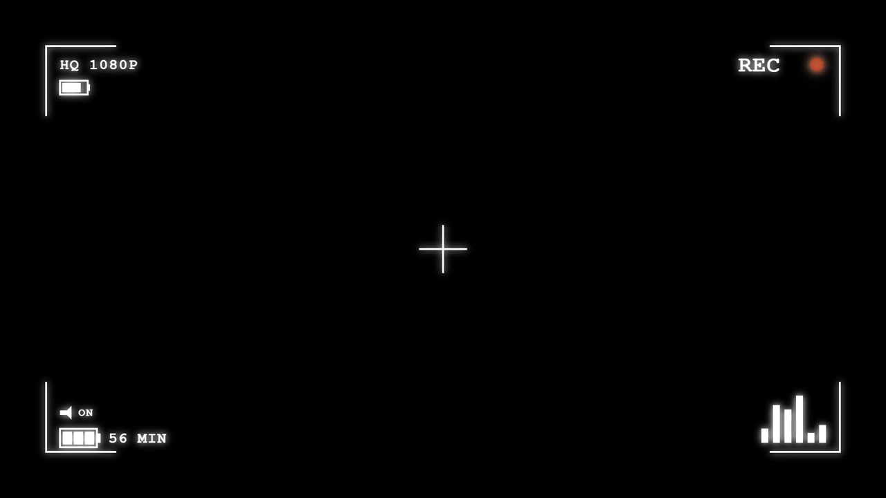 Digital Camera Viewfinder Overlay with Recording Interface