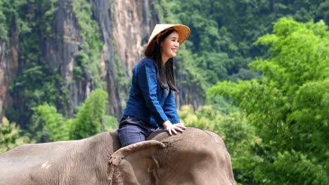 woman riding elephant in a scenic landscape