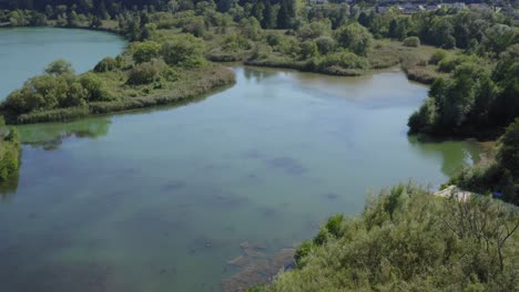 aerial reveal over drava lake. slovenia