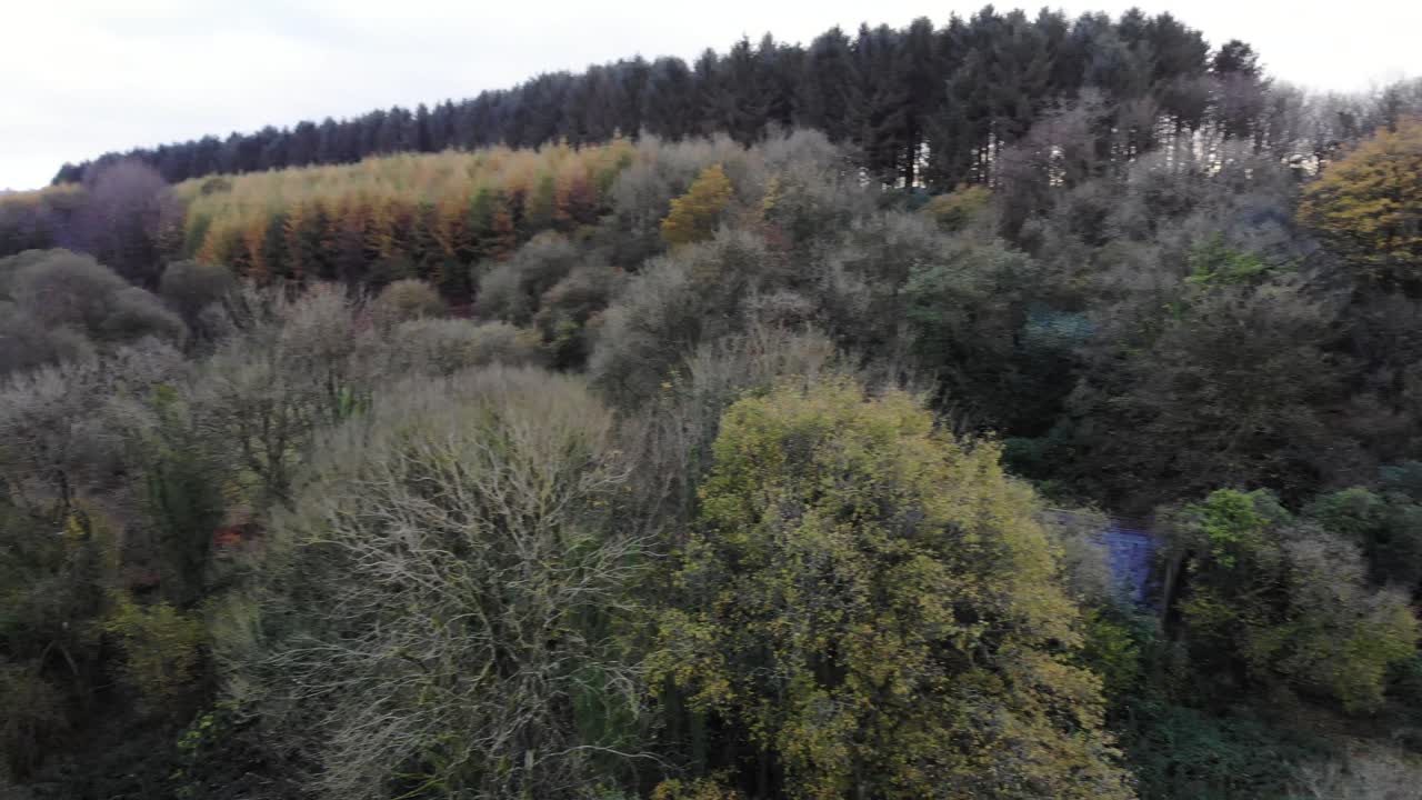 Luftfoto med panorering mod højre af skoven ved Otterhead Lakes Devon England