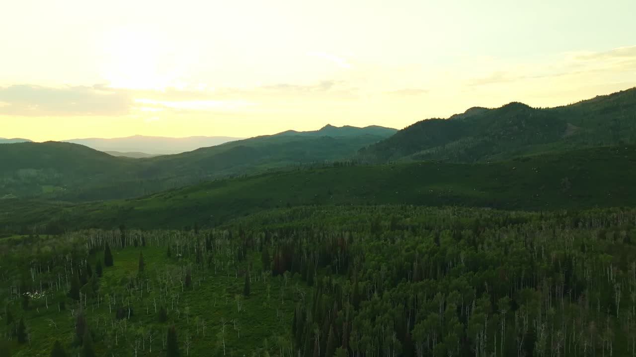 Lush Steamboat Springs hills seen from above with layered terrain and scattered tree cover, beautiful golden hour glow on trees