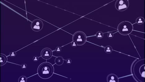 animación de la red de conexiones a través de iconos