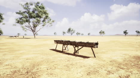 desert landscape with wooden benches under a clear blue sky in daylight