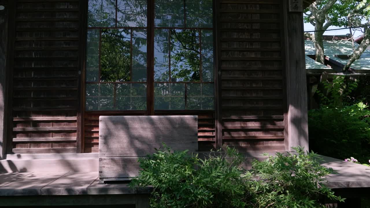 포브 는 호드렌지아 꽃 이 있는 전형적 인 목조 일본 사원 건물 을 향해 고 있다