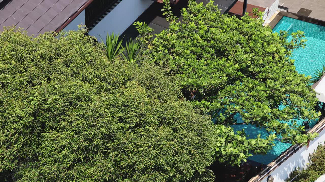 progresión aérea de un entorno sereno junto a la piscina