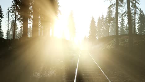 Flug-über-Eine-Von-Wald-Umgebene-Eisenbahn-Mit-Sonnenstrahlen