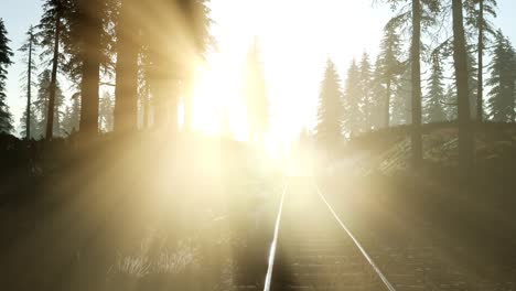 flight over a railway surrounded by forest with sunbeams