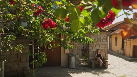 beautiful red climbing roses decorate urban street scene slide shot